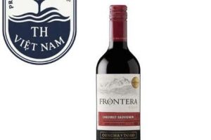 Concha Y Toro Frontera Cabernet Sauvignon – Vang Chile Đỏ Đẳng Cấp